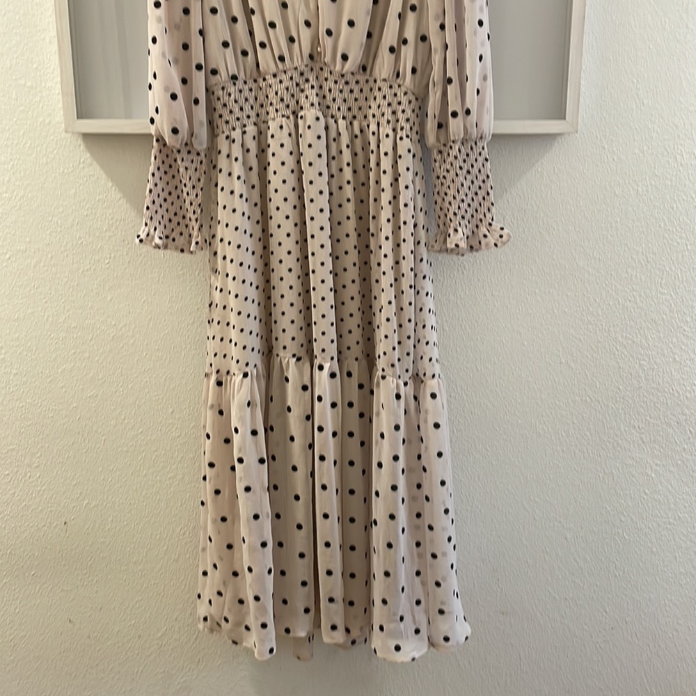 🪞🏞 sheer By the river poka dot dress🪞 - Picture 3 of 10
